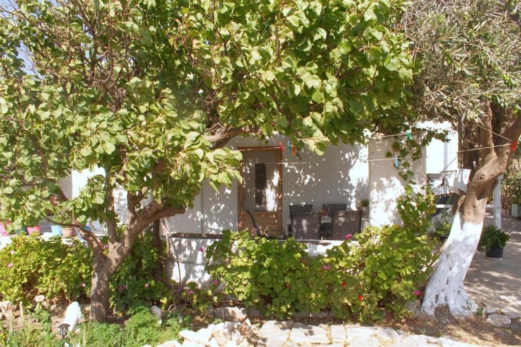 Anastasia'S House Ysterni Isterni  Exterior photo